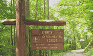 Slide Show Image